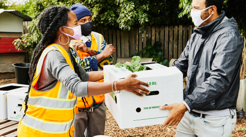 fresh vegetables for the community