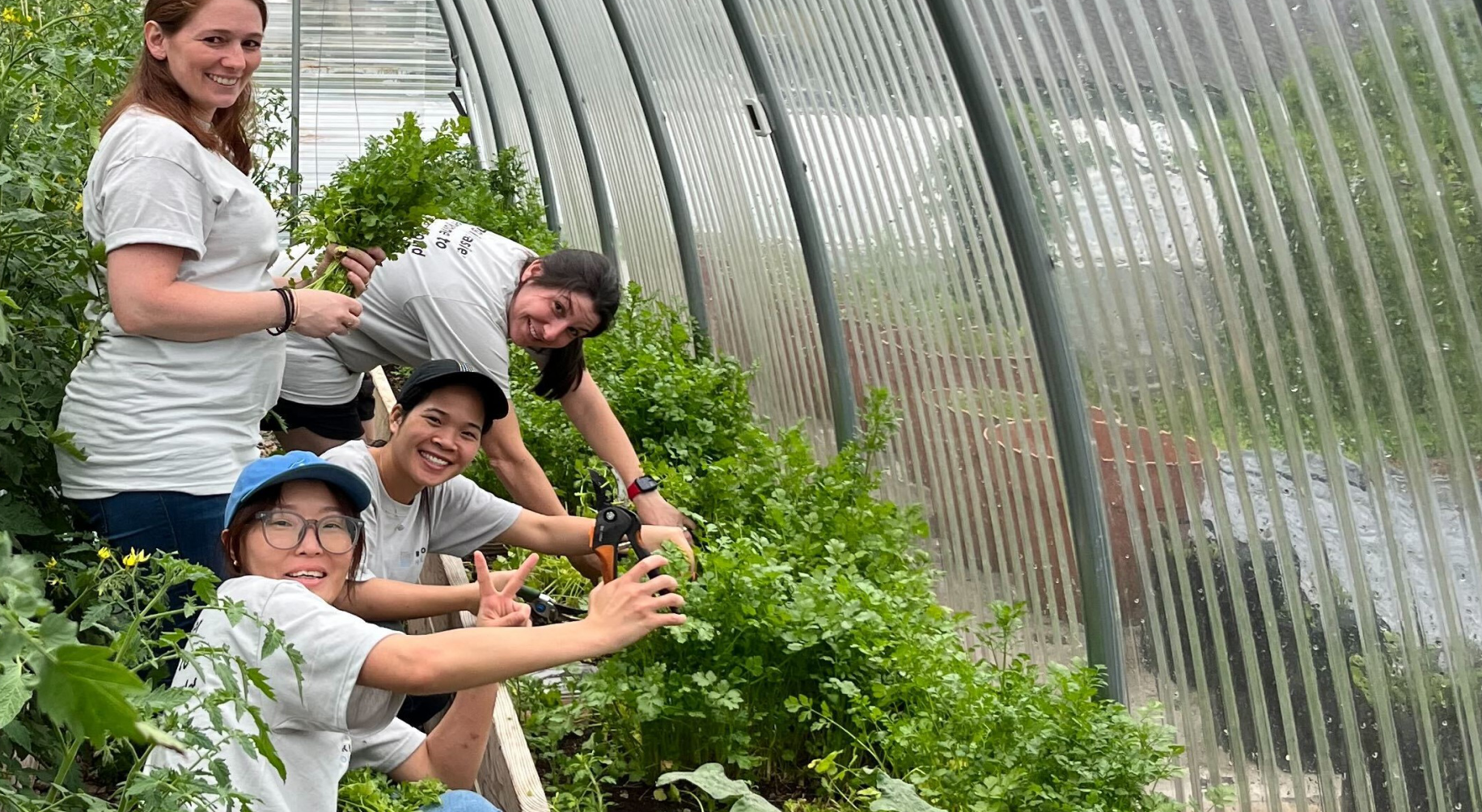 Greenhouse Workers