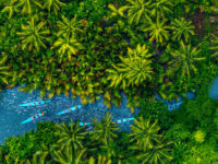 travel river canoe forest